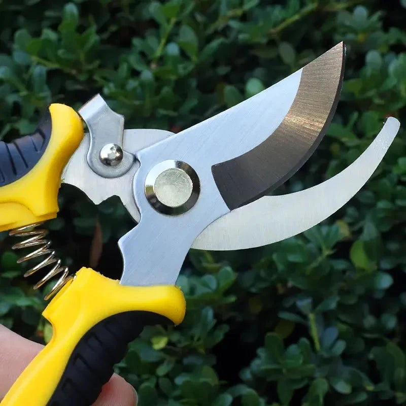 Stainless Steel Professional Gardening Shears Pruning branches Fruit trees Flowers Household Pruning Tools Shears - AMULET RING STORE