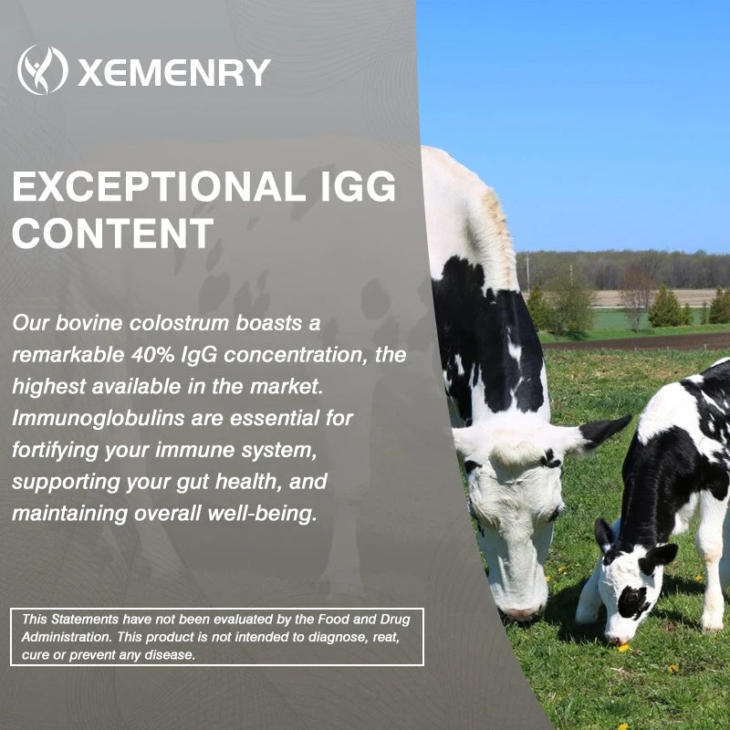 Colostrum Capsules - 40% LgG - Support Intestinal and Digestive Health, Hair, Nails, Skin and Muscle Health - AMULET RING STORE