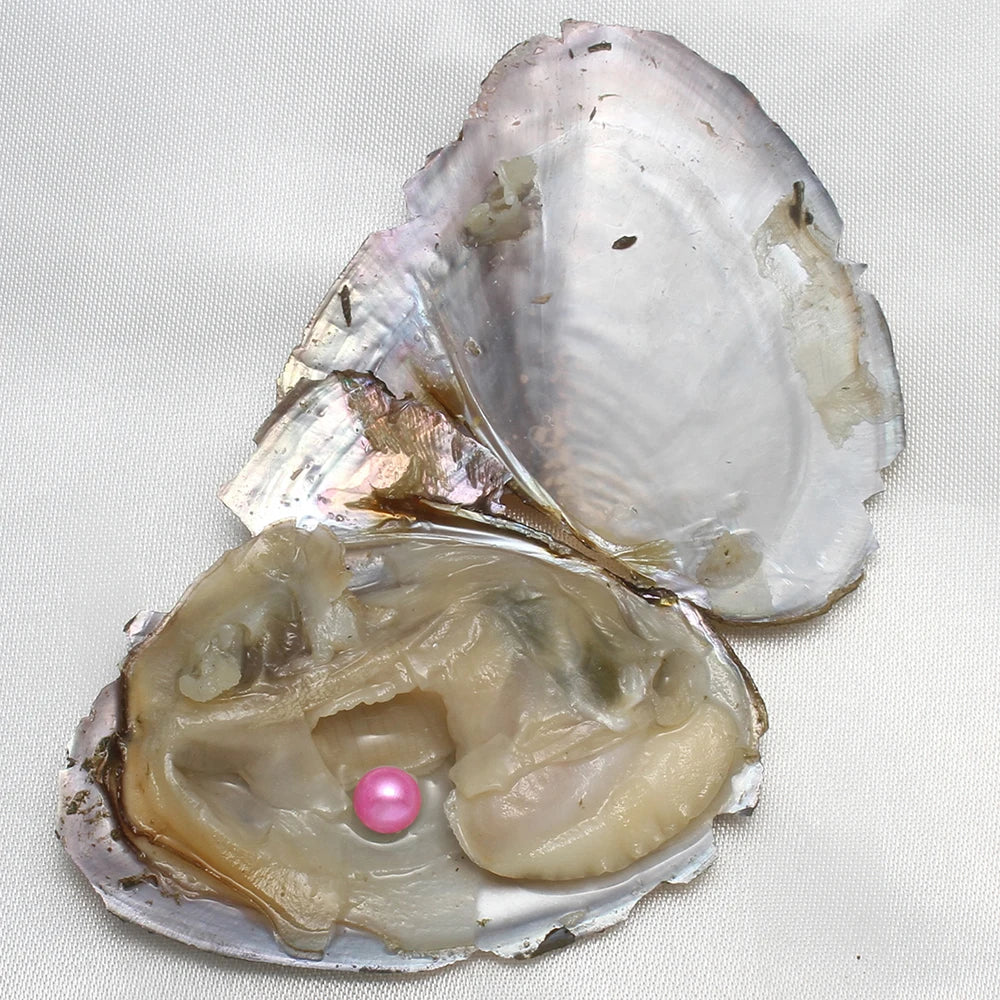 7-8MM AA+ Single Pearl Vacuum-pack Oyster Beautiful & Interesting Nature Gifts Cultivate High-quality Pearls 10PCs/Lot