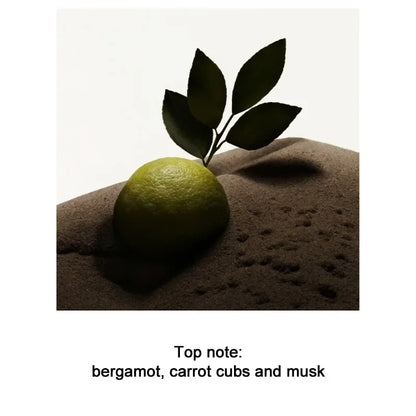 100ML Brand Perfume: Flirting Pheromone | Long - Lasting Romance | Attract Women | Wild Boys