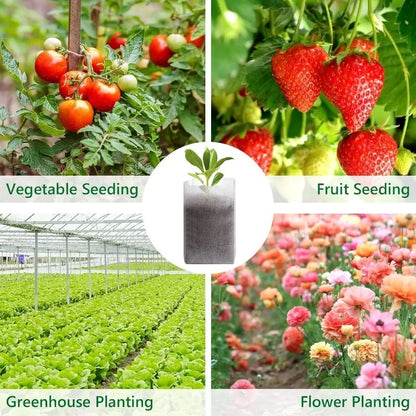 100PCS Breathable Plant Nursery Bags Biodegradable Grow Pots Fabric Seedling Containers Home Gardening Essentials - AMULET RING STORE