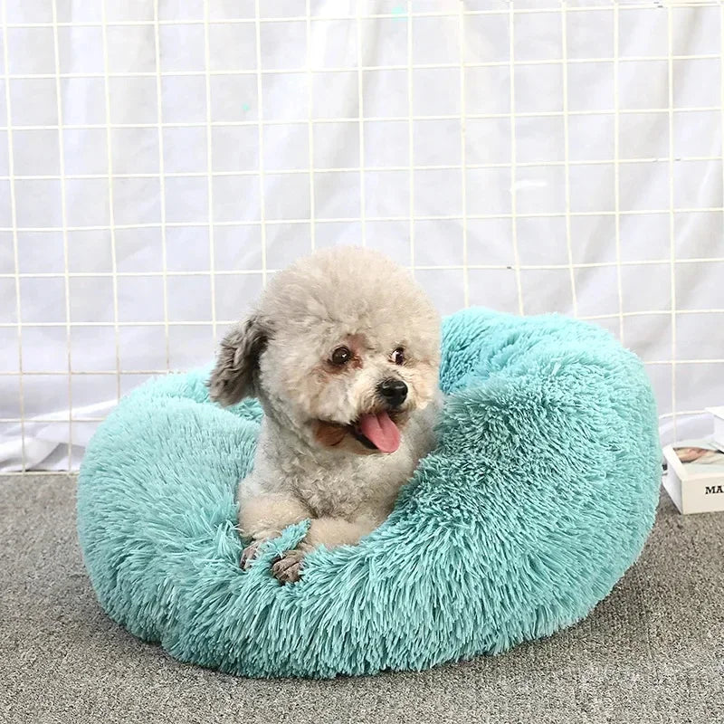 Round Cat Beds House Soft Long Plush Best Pet Dog Bed For Dogs Basket Pet Products Cushion Cat Bed Cat Mat Animals Sleeping Sofa - AMULET RING STORE