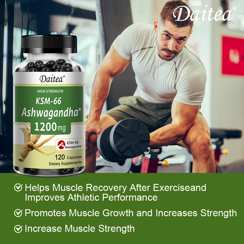 Ashwagandha 1200 mg - Stress Relief Formula, Supports Energy & Focus, 120 Veggie Capsules - AMULET RING STORE