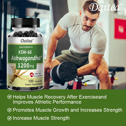 Ashwagandha 1200 mg - Stress Relief Formula, Supports Energy & Focus, 120 Veggie Capsules - AMULET RING STORE