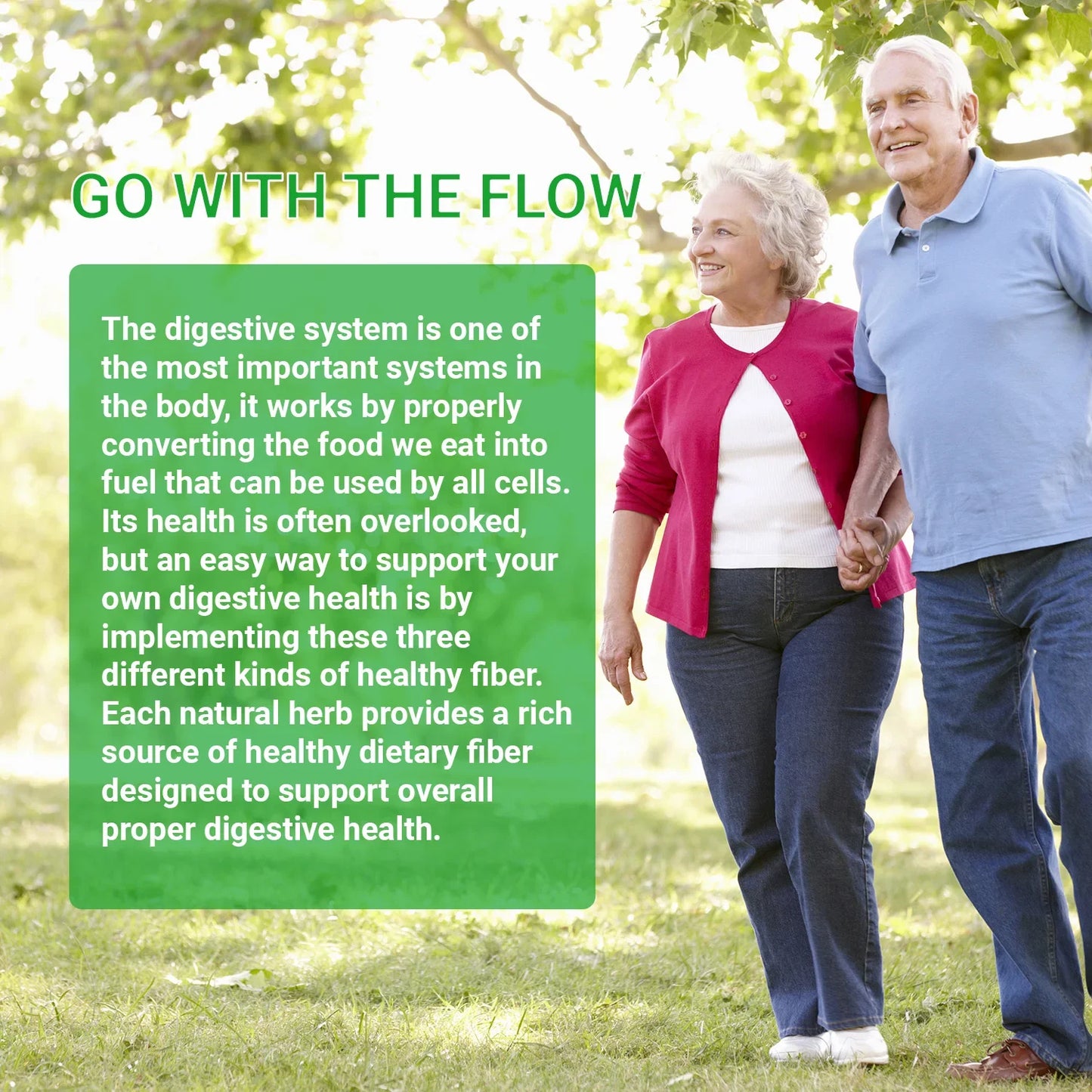 Psyllium Husk - Gut and Colon Cleanse Detox, Improve Metabolism, Relieves Gas, Bloating and Constipation - AMULET RING STORE