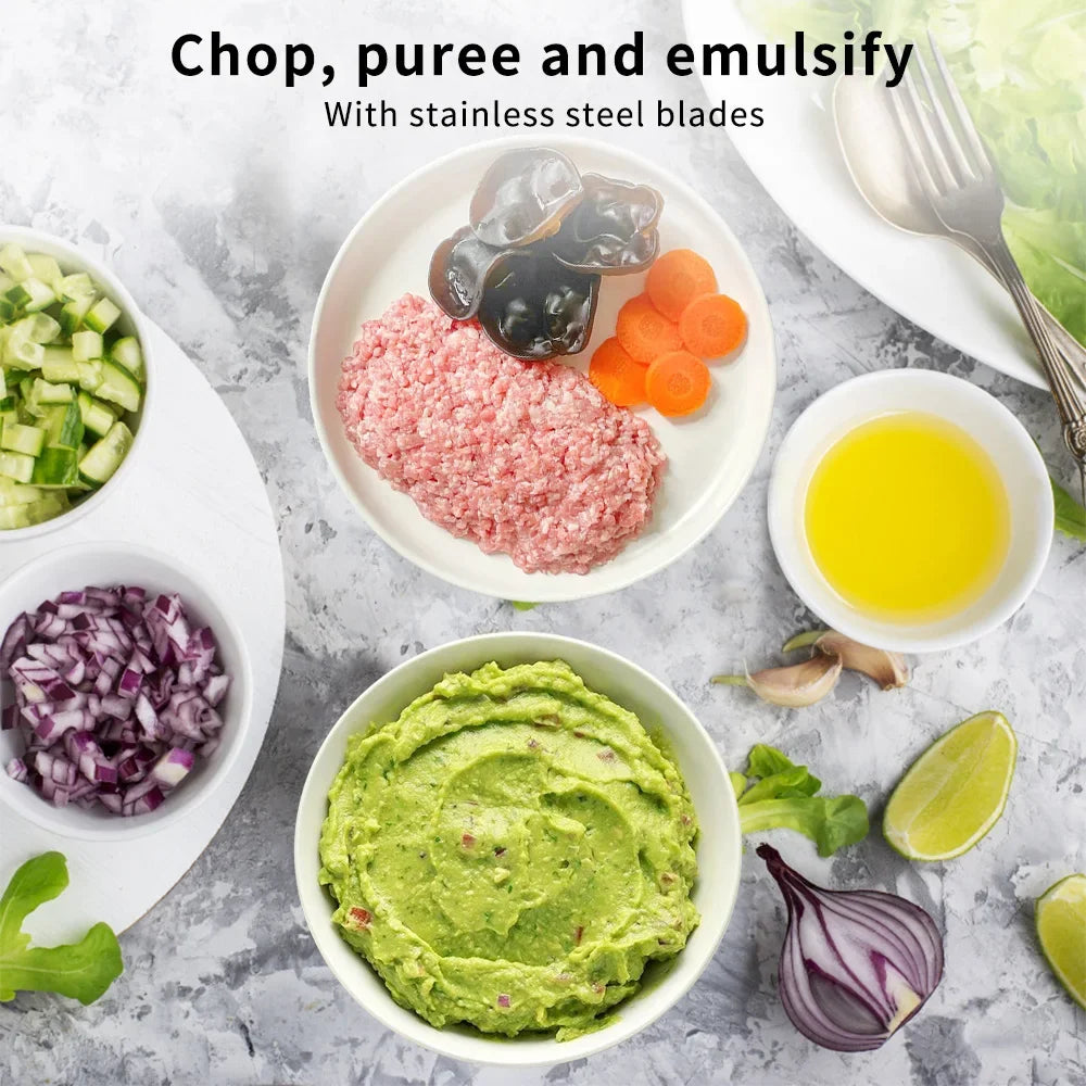 Aoresac Electric Food processor/Food Chopper/Meat Grinder Electric with 2 Sets Stainless Steel Blades/300W/2 Speed - AMULET RING STORE