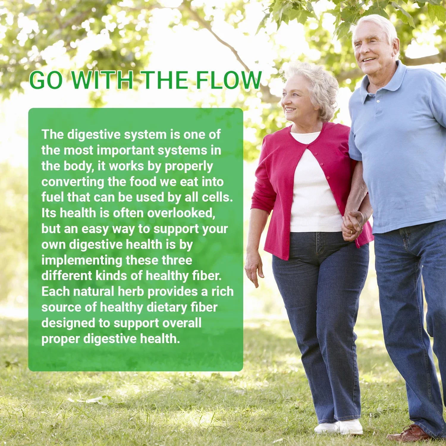 Psyllium Husk - Gut and Colon Cleanse Detox, Improve Metabolism, Relieves Gas, Bloating and Constipation - AMULET RING STORE