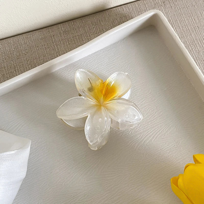 AISHG Fashion Women Flower Hair Claws Hawaiian Gradient Hair Clips Vacation Beach Style Hairpins Hair Accessories - AMULET RING STORE