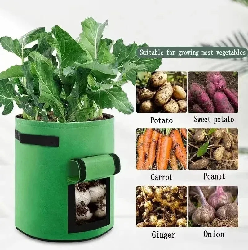 2 Size Felt plant grow bags nonwoven fabric garden potato pot greenhouse vegetable growing bags moisturizing vertical tools - AMULET RING STORE
