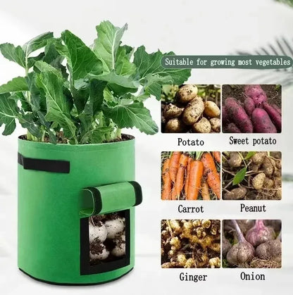 2 Size Felt plant grow bags nonwoven fabric garden potato pot greenhouse vegetable growing bags moisturizing vertical tools - AMULET RING STORE