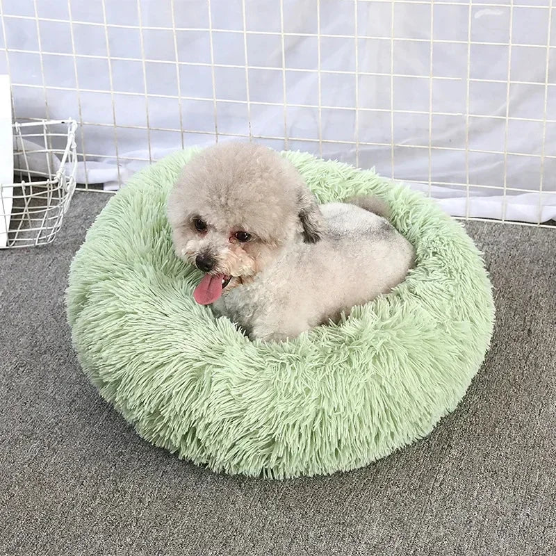 Round Cat Beds House Soft Long Plush Best Pet Dog Bed For Dogs Basket Pet Products Cushion Cat Bed Cat Mat Animals Sleeping Sofa - AMULET RING STORE