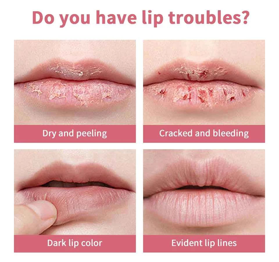 Pink Honey and Black Lipstick Plumper Lips Moisture Water Bomb Comfortable Nourish Ultra Sheen Non-Stick Cup Lip Care Products