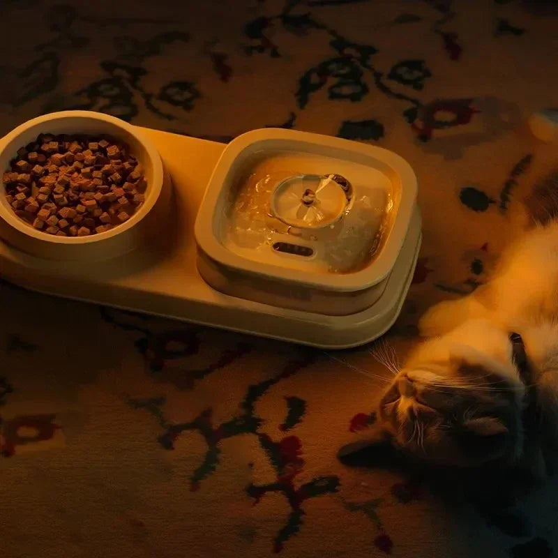 Auto Filter Mute 2-in-1 Pets Water Fountain USB Electric Cat Drinker Bowl Pet Feeder Recirculate Filtring Drinker for Cats Water - AMULET RING STORE