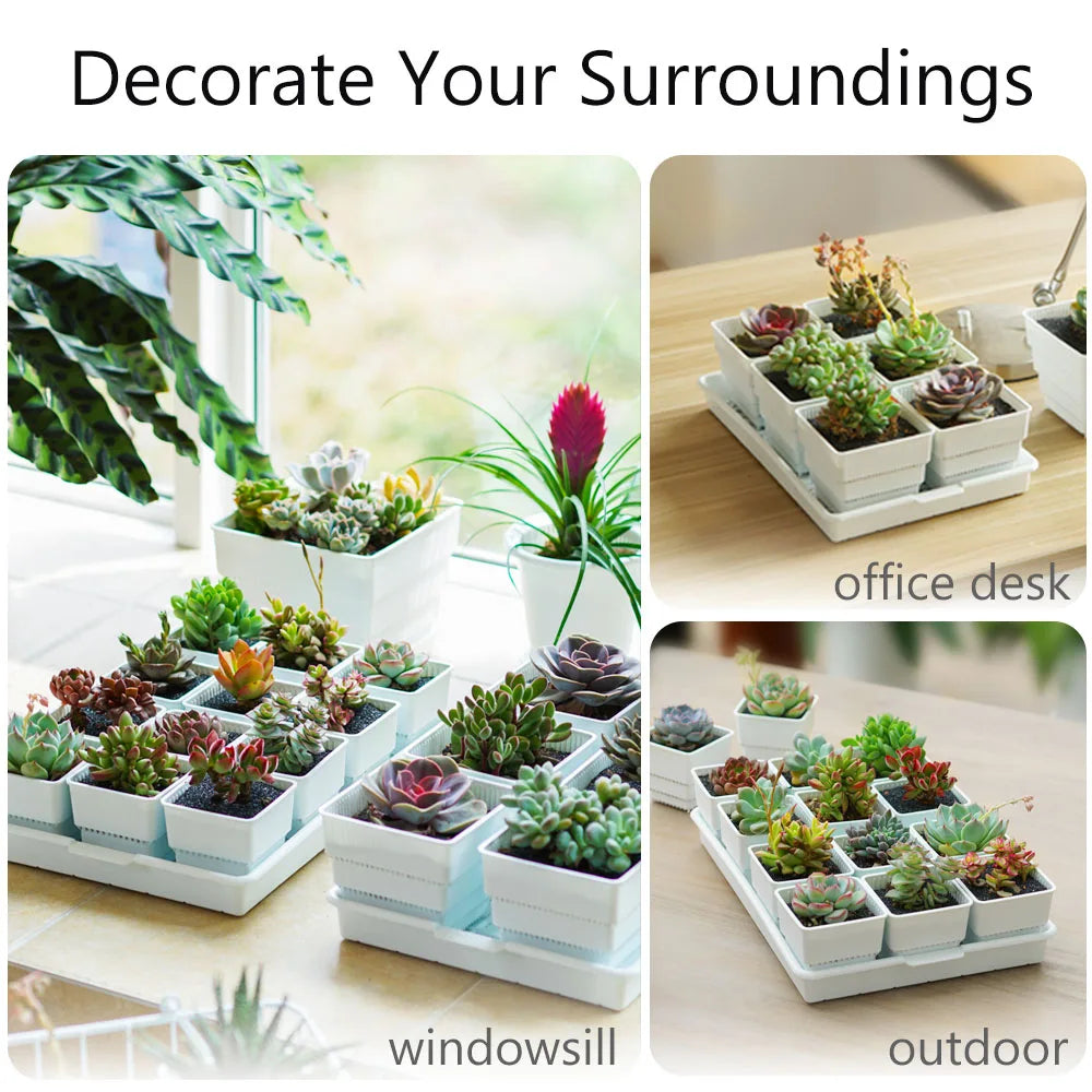 Meshpot Succulent Pots Succulent Planters with Tray Plastic Succulent Cactus Pot with holes Square Succulent Seedlings Pot Match - AMULET RING STORE