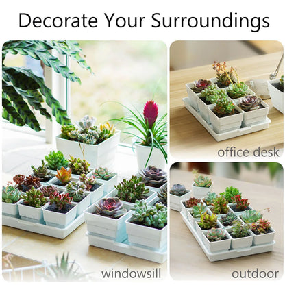 Meshpot Succulent Pots Succulent Planters with Tray Plastic Succulent Cactus Pot with holes Square Succulent Seedlings Pot Match - AMULET RING STORE