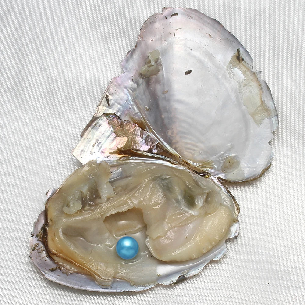 7-8MM AA+ Single Pearl Vacuum-pack Oyster Beautiful & Interesting Nature Gifts Cultivate High-quality Pearls 10PCs/Lot