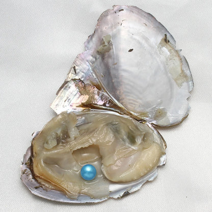 7-8MM AA+ Single Pearl Vacuum-pack Oyster Beautiful & Interesting Nature Gifts Cultivate High-quality Pearls 10PCs/Lot