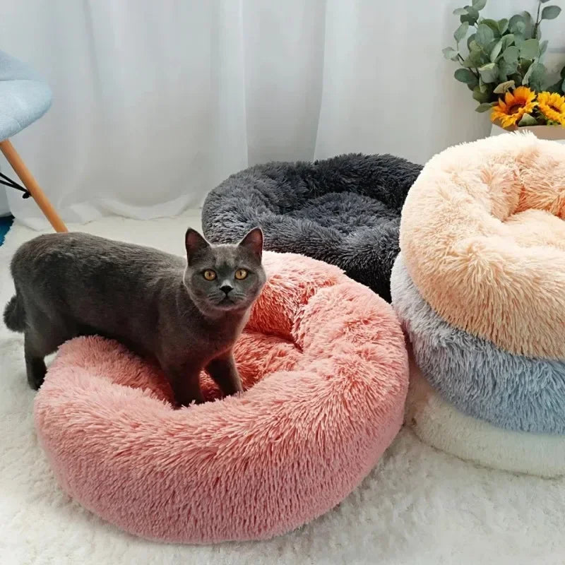 Round Cat Beds House Soft Long Plush Best Pet Dog Bed For Dogs Basket Pet Products Cushion Cat Bed Cat Mat Animals Sleeping Sofa - AMULET RING STORE