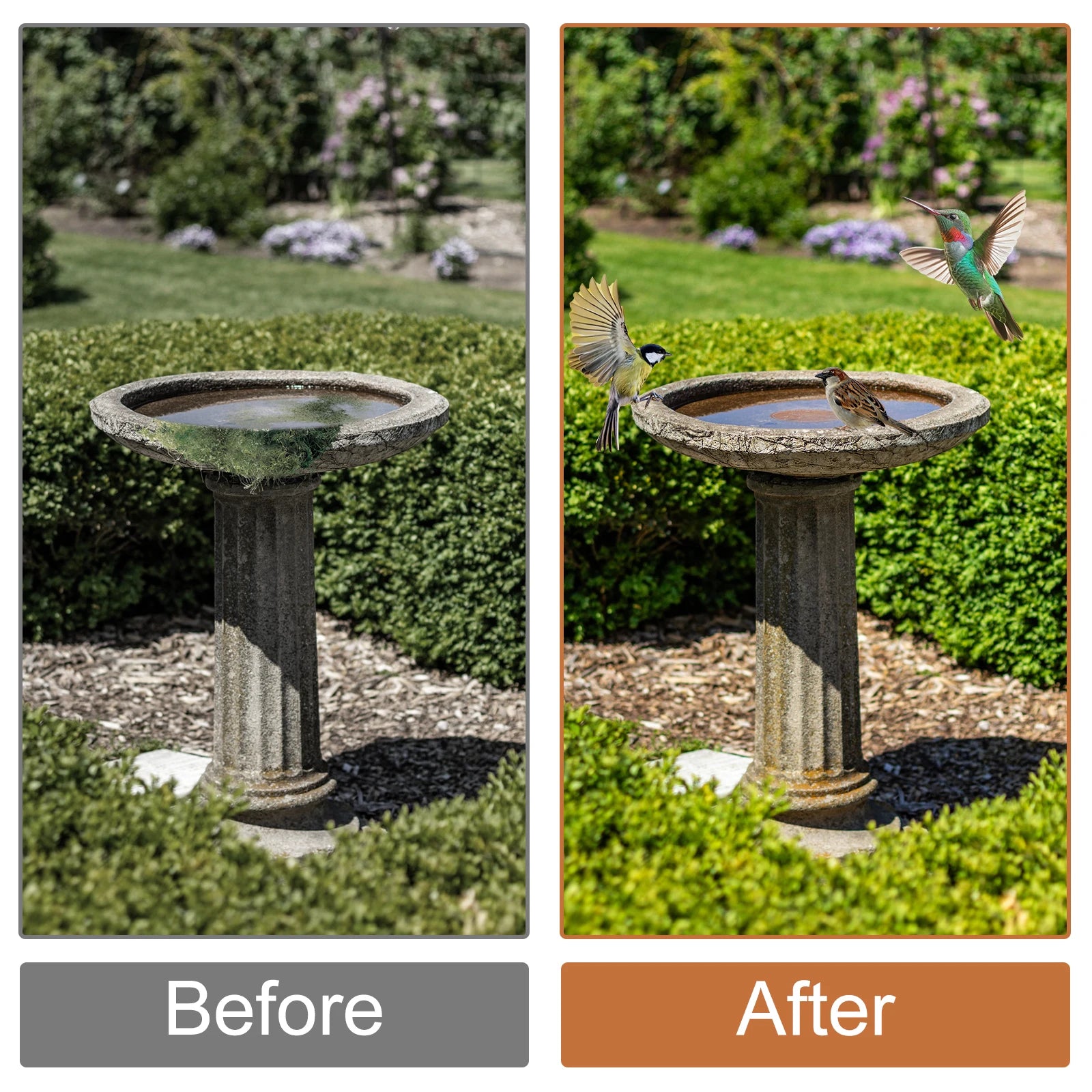 2Pcs Bird Bath Copper Disk With 3 Point Support Bird Bath Purification Plate Garden Outdoor Feeder Tray Cleaner Water Bowl - AMULET RING STORE