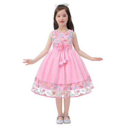 European and American embroidery dress dress girl's party lace princess dress flower child net gauze Pengpeng dress