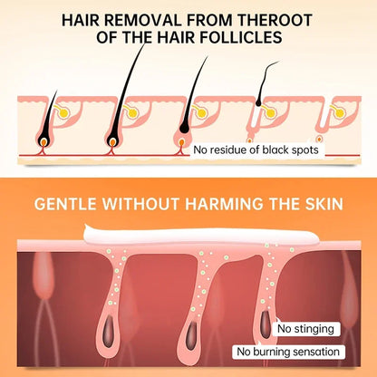 3 Minutes Fast Hair Removal Cream Painless Hair Growth Inhibitor Lip Face Arm Armpit Leg Permanent Depilatory for Men Women Care - AMULET RING STORE