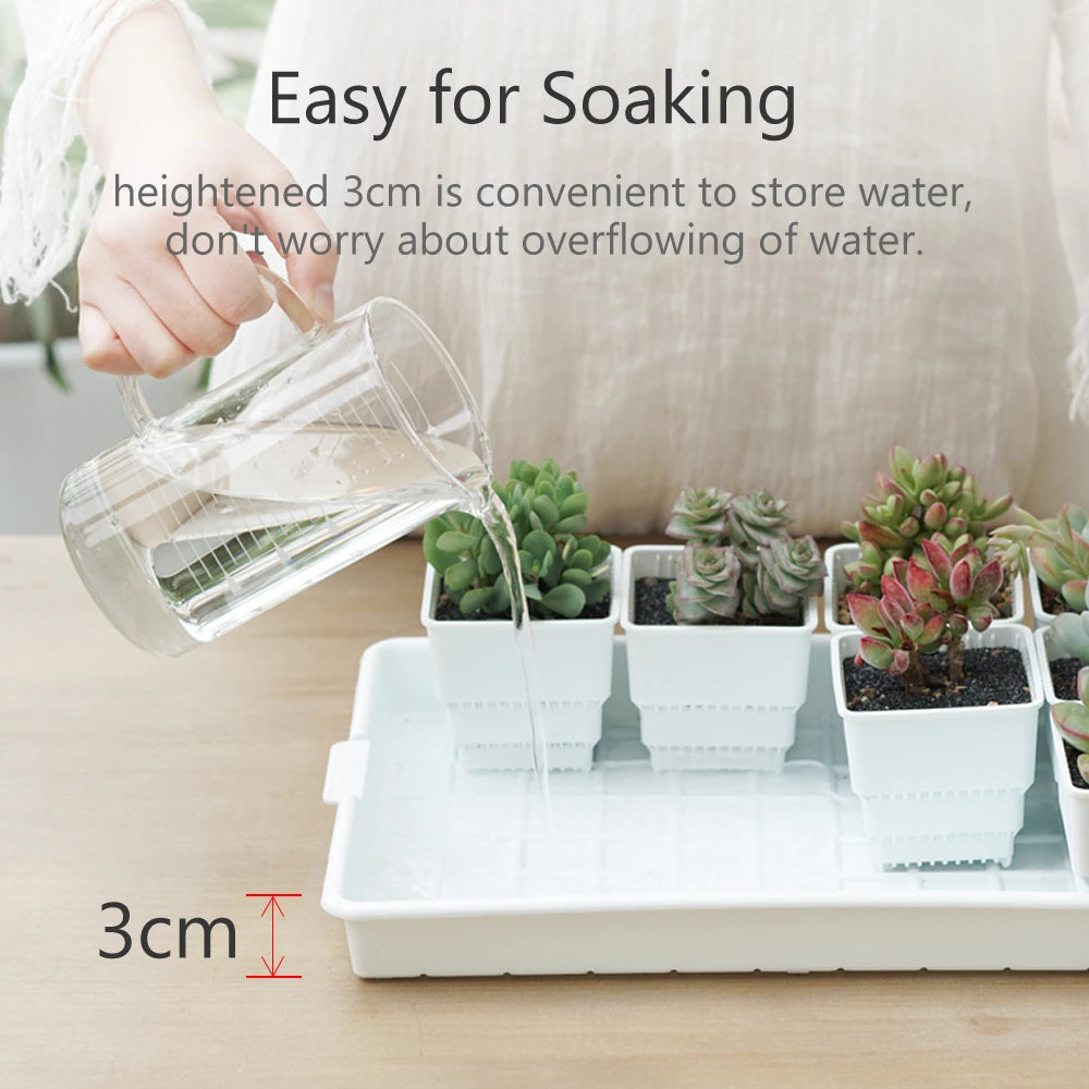 Meshpot Succulent Pots Succulent Planters with Tray Plastic Succulent Cactus Pot with holes Square Succulent Seedlings Pot Match - AMULET RING STORE