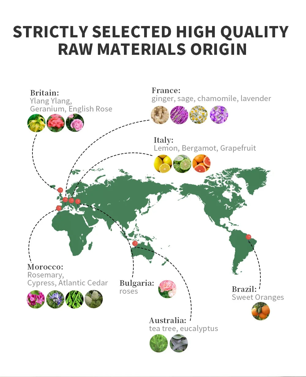 10 Flavors Aromatic Oils for Aroma Diffuser Air Humidifier Home Natural Oil 10ml Air Freshener Scents Fragrance Oil Perfume - AMULET RING STORE