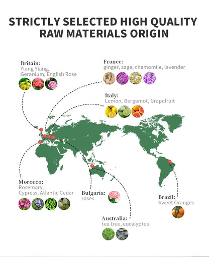 10 Flavors Aromatic Oils for Aroma Diffuser Air Humidifier Home Natural Oil 10ml Air Freshener Scents Fragrance Oil Perfume - AMULET RING STORE