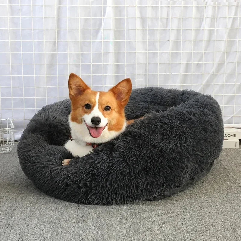 Round Cat Beds House Soft Long Plush Best Pet Dog Bed For Dogs Basket Pet Products Cushion Cat Bed Cat Mat Animals Sleeping Sofa - AMULET RING STORE