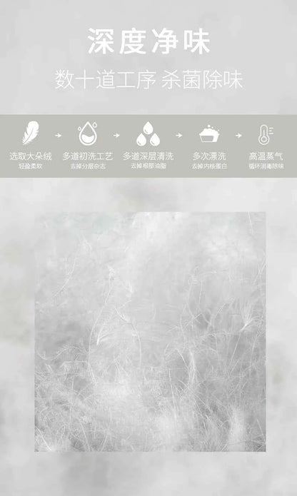 Winter Down Jacket 2026 Light Luxury Brand Men's Coat 90% White Duck Down Lining Outdoor Leisure Sports Men's Jacket