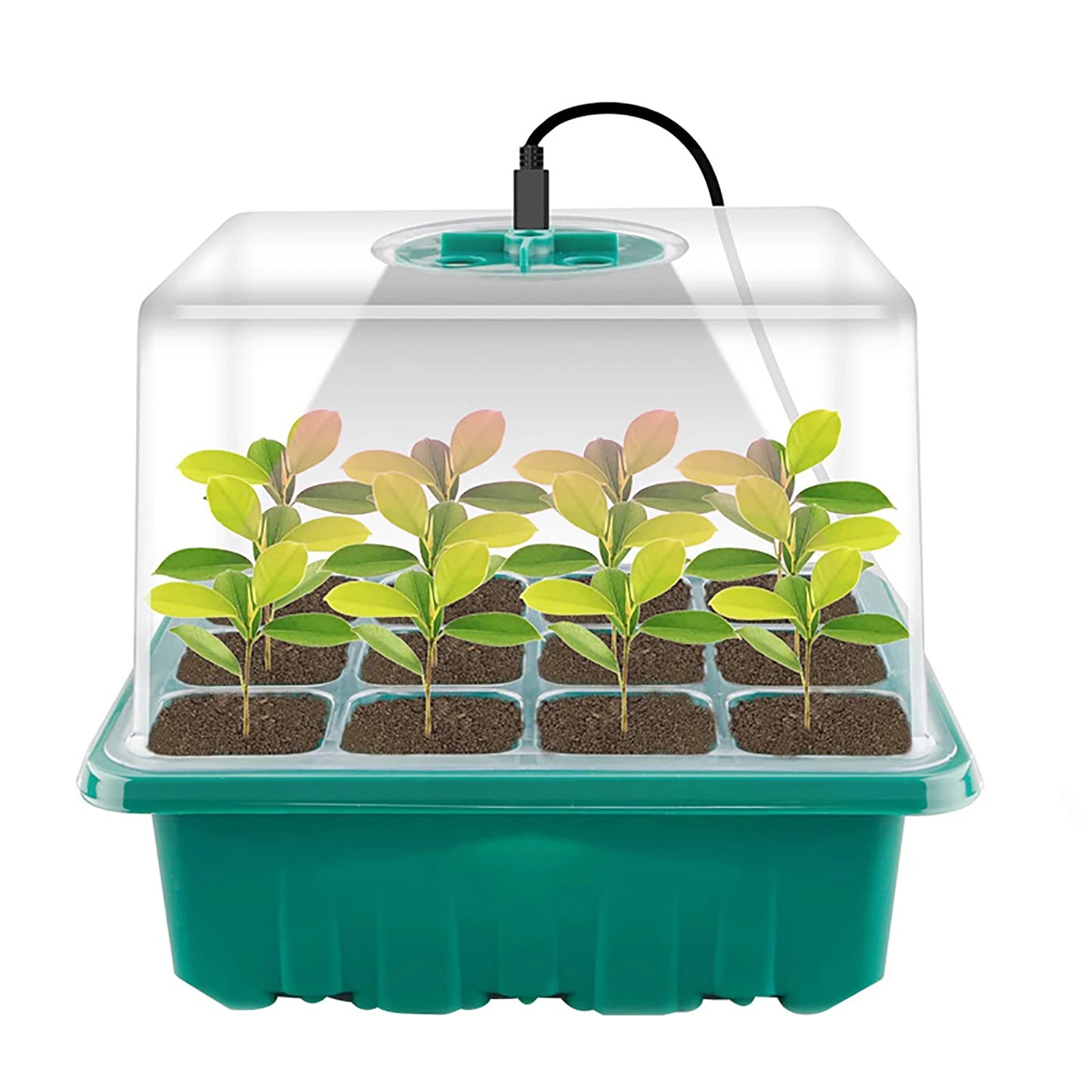 Higher Cover Nursery Tray Box with Growing light 6/12 Cell LED Full Spectrum Seedling Succulent Flower Planting Germination Pot - AMULET RING STORE