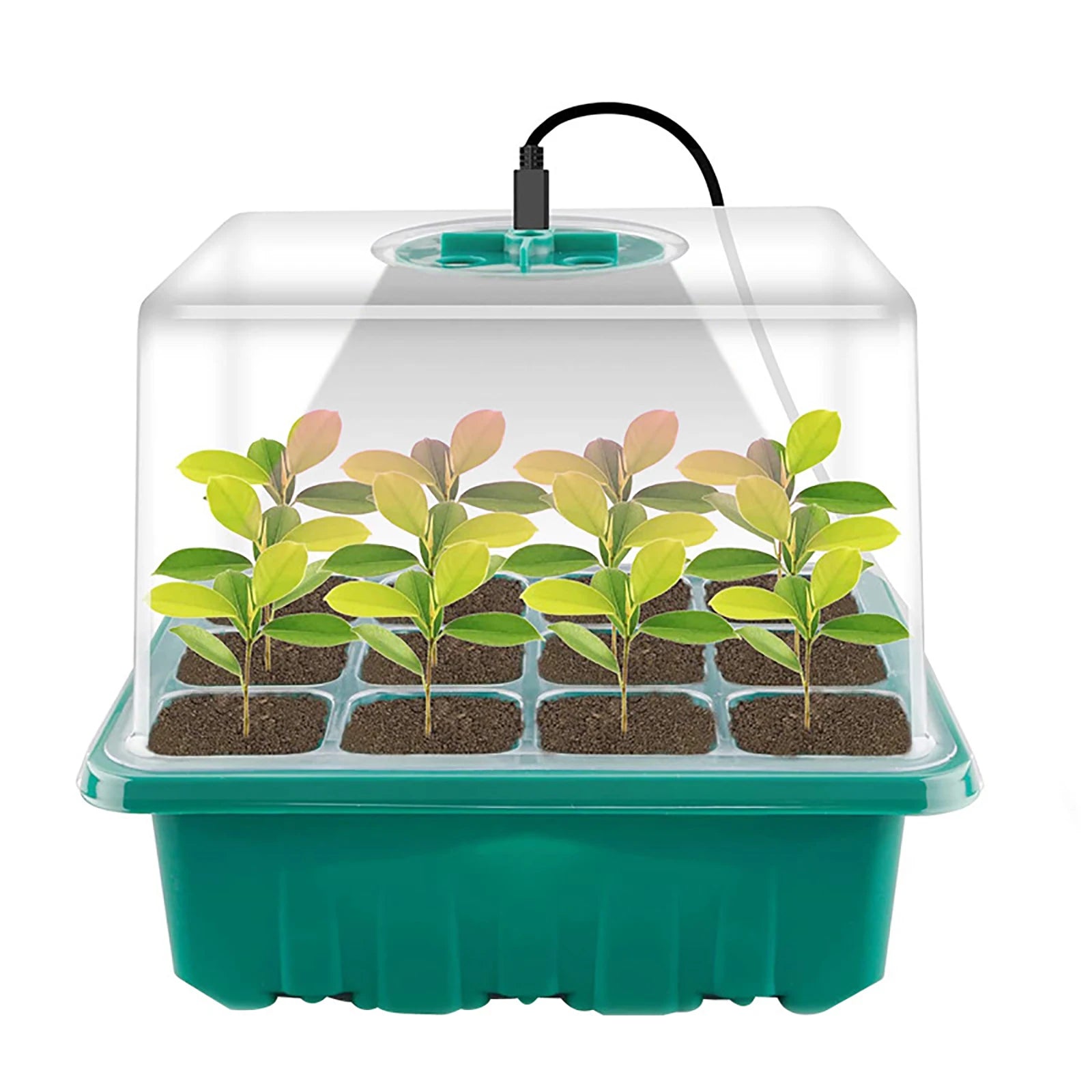 Higher Cover Nursery Tray Box with Growing light 6/12 Cell LED Full Spectrum Seedling Succulent Flower Planting Germination Pot - AMULET RING STORE