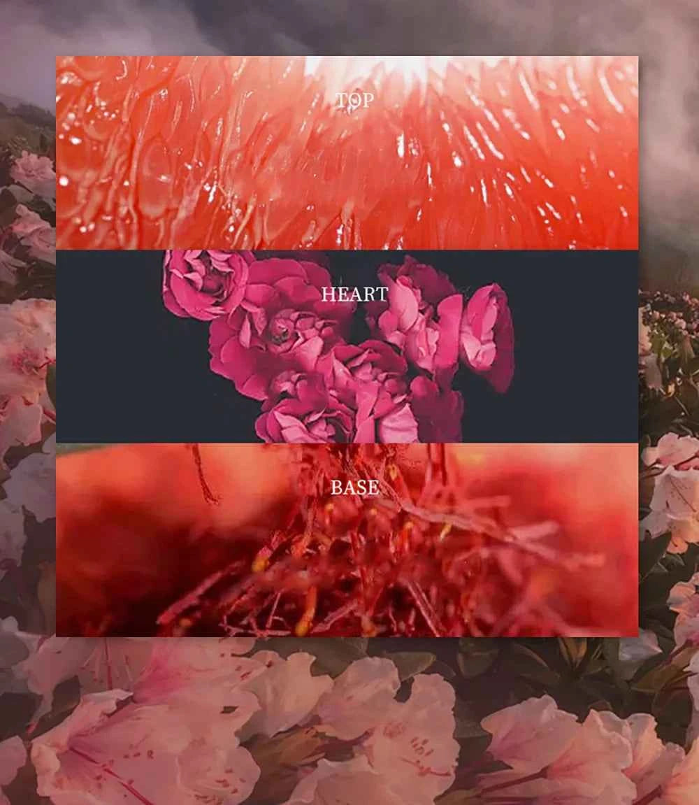 Luxury Brand Perfume Women 75ml Feminino Perfumes De Mujer Lasting Fragrances Pheromone Eau De Parfum Femme Floral Scent Spray