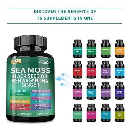 Sea Moss Supplement - Supports Thyroid Health, Anti-aging, Antioxidant, Improve Immunity, Detox, Beauty Health - AMULET RING STORE