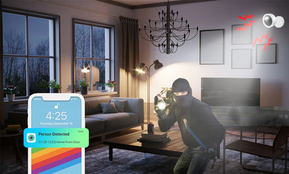 1080P WiFi Camera IP Surveillance Camera Security Baby Monitor 2MP CCTV Audio Video Color Night Vision AI Detect iCSee Mini Cam - AMULET RING STORE