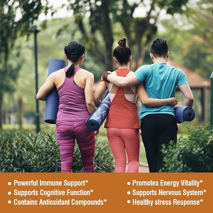 Mushroom Complex Capsules - with Lions Mane, Chaga, Reishi, Cordyceps - Support Immune System, Memory, Focus and Relieve Stress