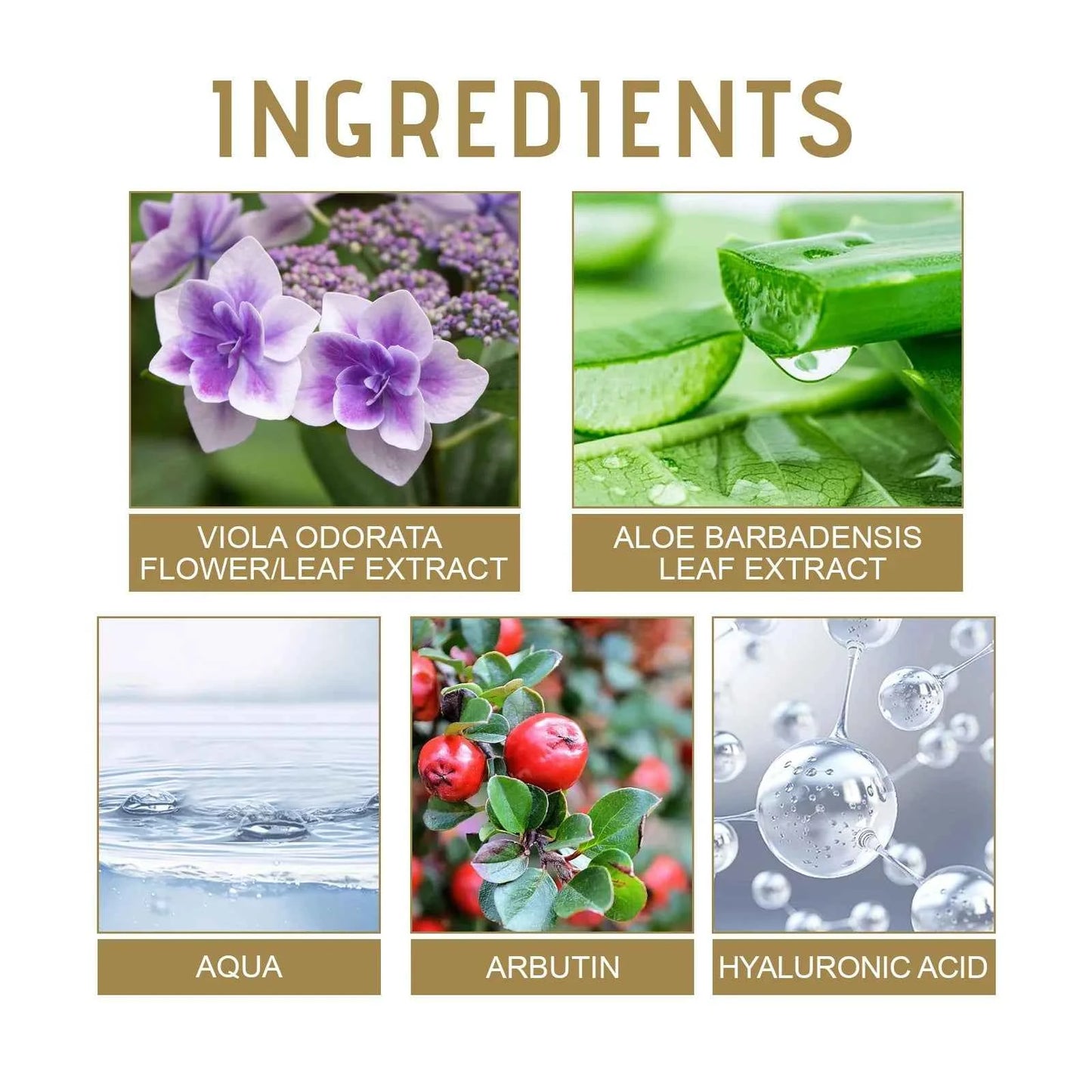 Hyaluronic Acid Firming Cream Improves Dull Skin, Nourishes and Rejuvenates The Skin, Original Facial Skin Care Products