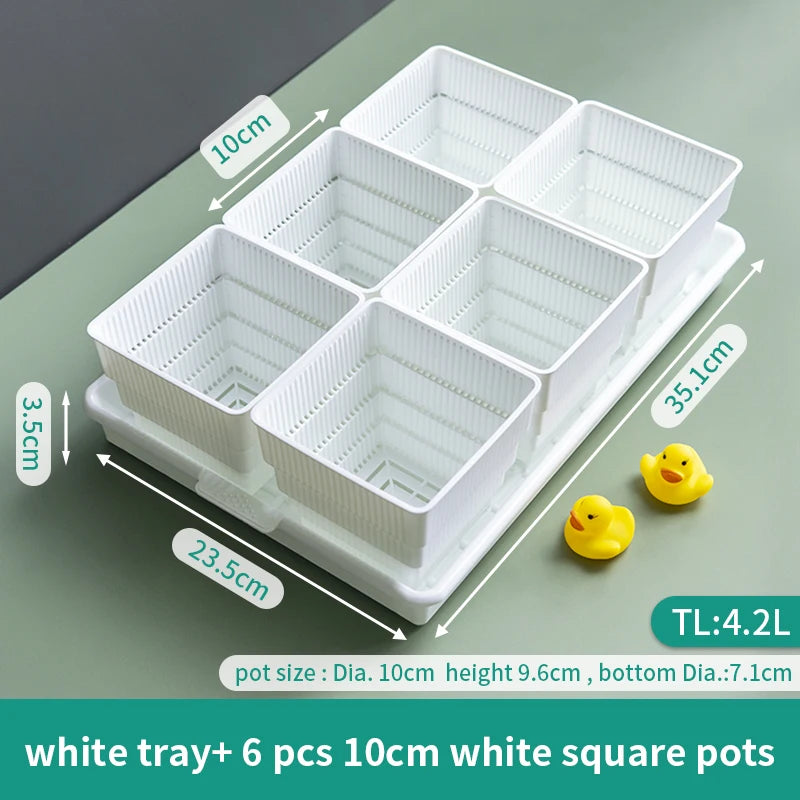 Meshpot Succulent Pots Succulent Planters with Tray Plastic Succulent Cactus Pot with holes Square Succulent Seedlings Pot Match - AMULET RING STORE