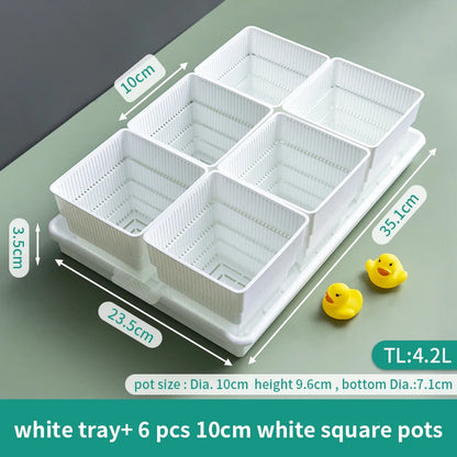 Meshpot Succulent Pots Succulent Planters with Tray Plastic Succulent Cactus Pot with holes Square Succulent Seedlings Pot Match - AMULET RING STORE