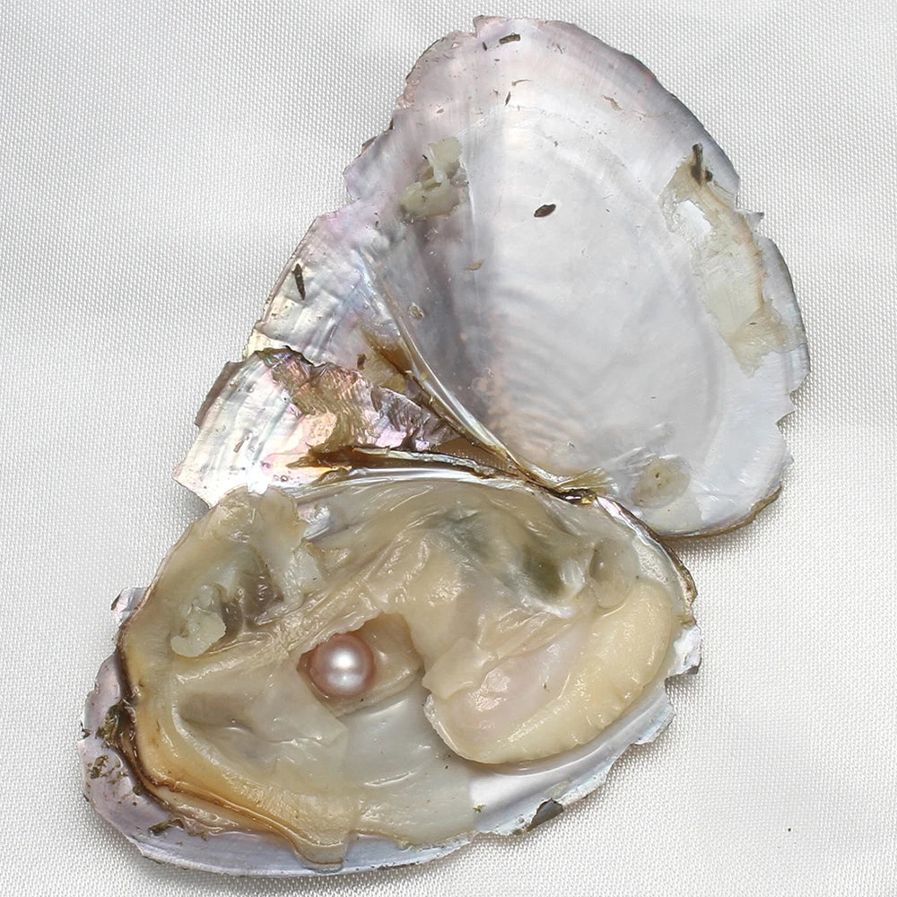 7-8MM AA+ Single Pearl Vacuum-pack Oyster Beautiful & Interesting Nature Gifts Cultivate High-quality Pearls 10PCs/Lot