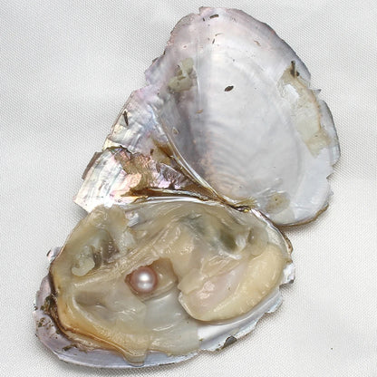 7-8MM AA+ Single Pearl Vacuum-pack Oyster Beautiful & Interesting Nature Gifts Cultivate High-quality Pearls 10PCs/Lot