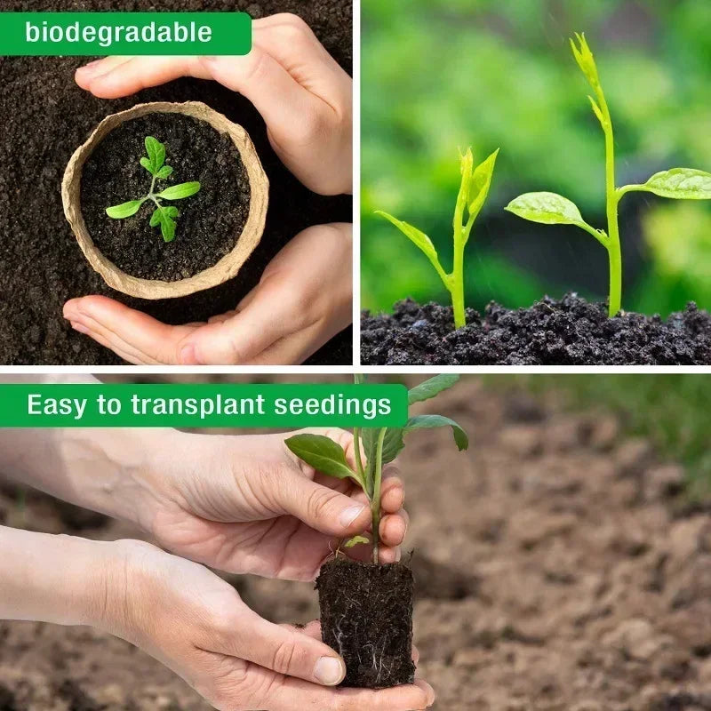 20-200PCS Environmental protection Garden Round Peat Pots Plant Seedling Starters Cups Nursery Herb Seed Tray Planting Tools - AMULET RING STORE