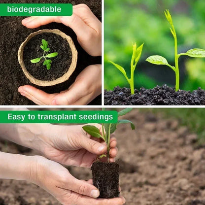 20-200PCS Environmental protection Garden Round Peat Pots Plant Seedling Starters Cups Nursery Herb Seed Tray Planting Tools - AMULET RING STORE