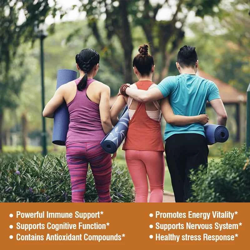 Mushroom Complex Capsules - with Lions Mane, Chaga, Reishi, Cordyceps - Support Immune System, Memory, Focus and Relieve Stress