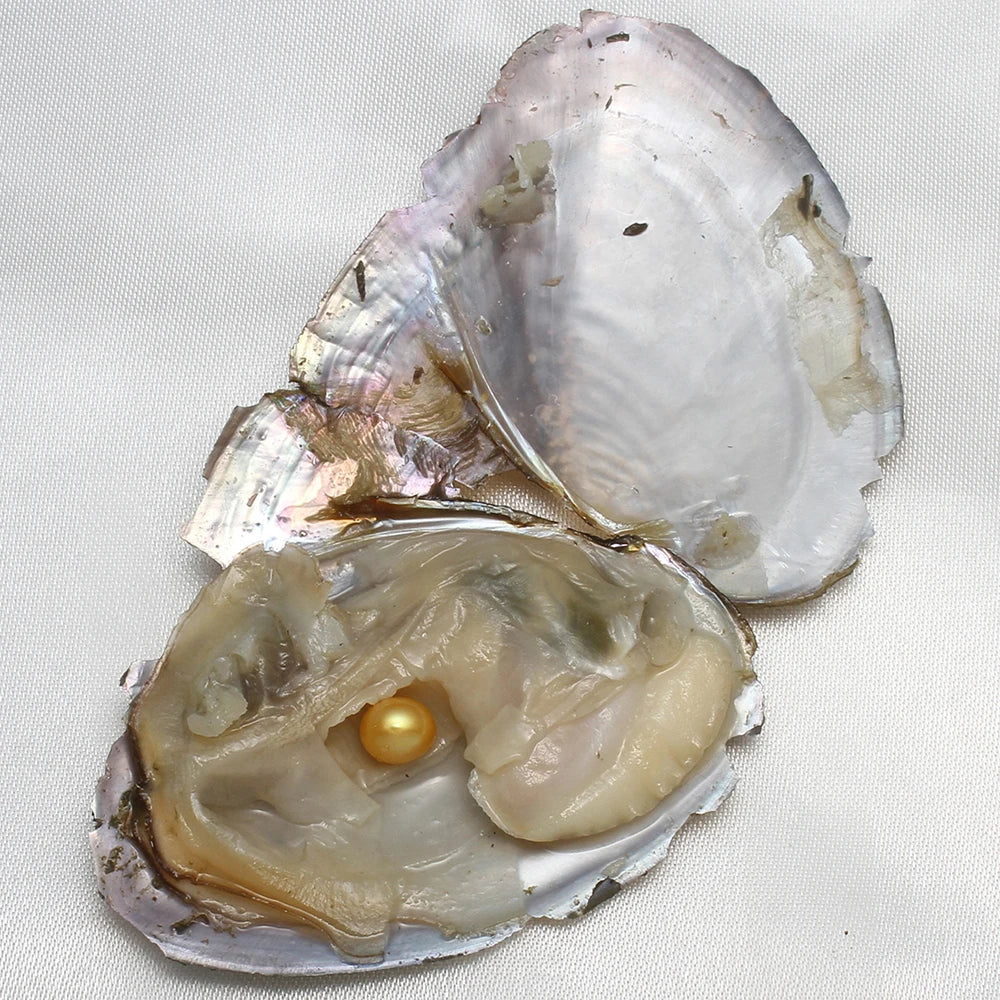 7-8MM AA+ Single Pearl Vacuum-pack Oyster Beautiful & Interesting Nature Gifts Cultivate High-quality Pearls 10PCs/Lot