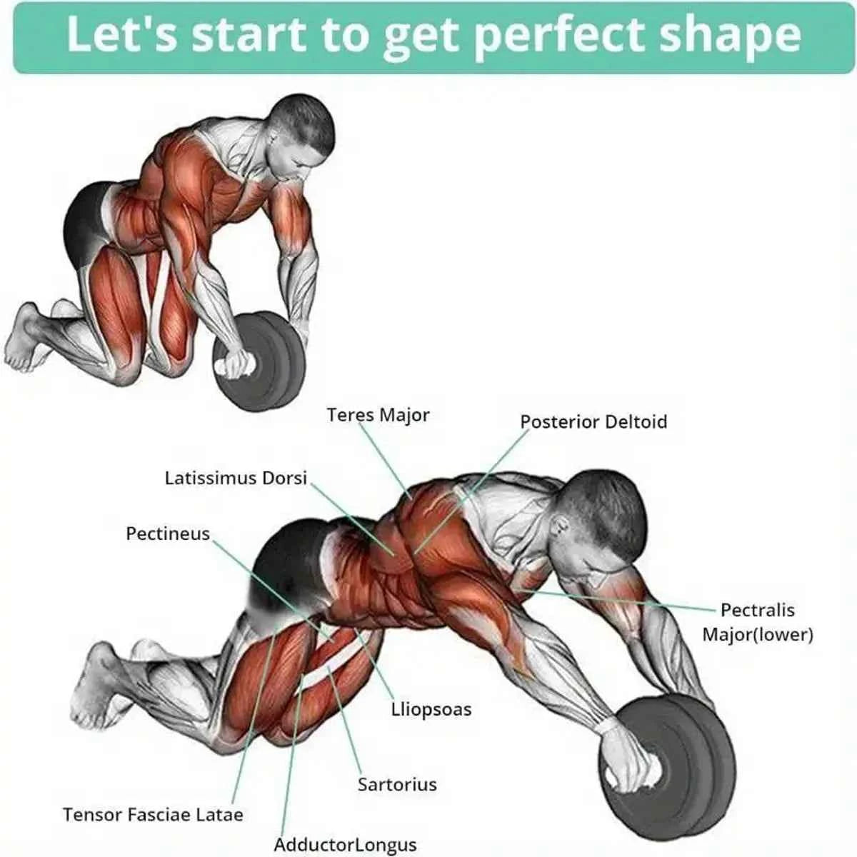 7-in-1 Black Fitness Set Abdominal Fitness Wheel Indoor Sports Push up Support ab Wheel Comprehensive Training Fitness Equipmen