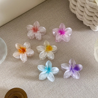 AISHG Fashion Women Flower Hair Claws Hawaiian Gradient Hair Clips Vacation Beach Style Hairpins Hair Accessories - AMULET RING STORE