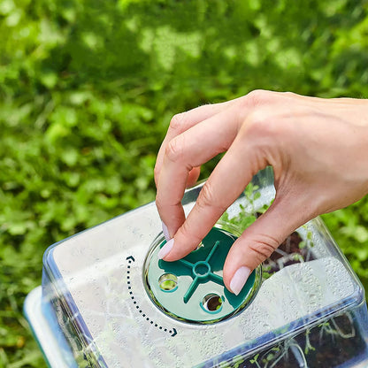 Higher Cover Nursery Tray Box with Growing light 6/12 Cell LED Full Spectrum Seedling Succulent Flower Planting Germination Pot - AMULET RING STORE