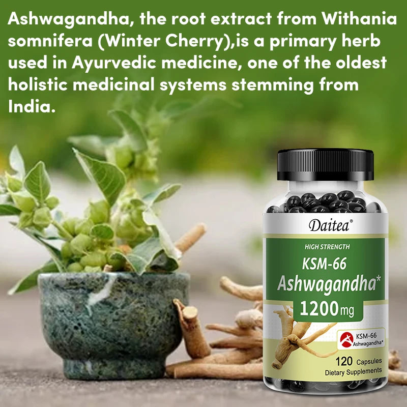 Ashwagandha 1200 mg - Stress Relief Formula, Supports Energy & Focus, 120 Veggie Capsules - AMULET RING STORE