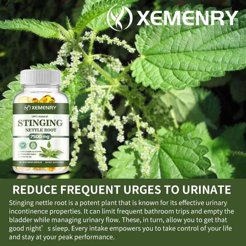 Stinging Nettle Root Capsules - Promotes Prostate and Urinary Tract Health, Reduces Urinary FrequencyCapsule
